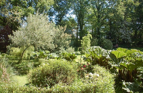 Plouguiel House | 4 bedroom accommodation in Plouguiel