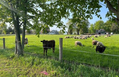 Tillsonburg Apartment | 4 bedroom apartment on 75 acre farm