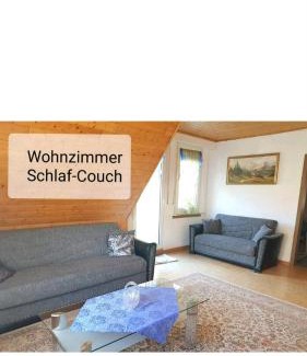 Boedefeld Apartment | 4 Erw. 1 Ki. Ski Entspannung Terasse Ausblick
