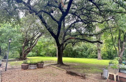 Landon Branch Apartment | 4 miles from Downtown this charming studio offers a cozy retreat for your stay.