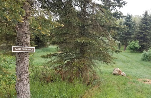 Luther RV Rental | 4 Private RV Campsites surrounded by "Knotty Pines", Minutes from ORV Trails.