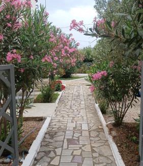 Jala Apartment | 4 Seasons apartments