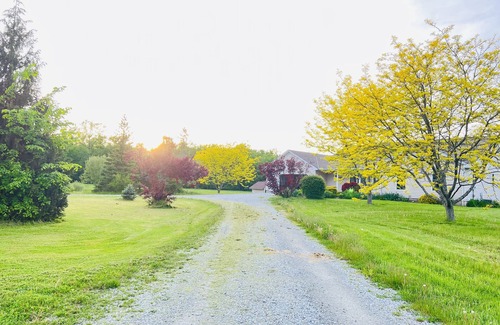 Port Colborne Cottage | 40 Acre Vacation rental Cottage with swimming pool in Niagara