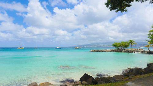 Pointe du Bout Apartment | 40 m² Apartment ∙ 1 bedroom ∙ 2 guests