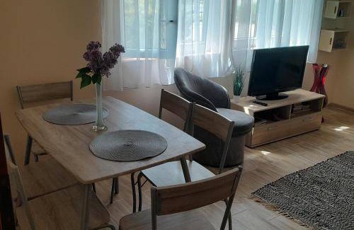 Rymanow-Zdroj Apartment | 40 m² Apartment ∙ 2 bedrooms ∙ 6 guests