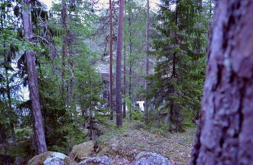 Orivesi Cottage | 40 m² Cabin ∙ 2 bedrooms ∙ 4 guests