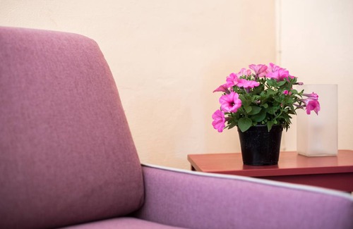 Serre di Rapolano House | 40 m² Farmhouse ∙ 1 bedroom ∙ 3 guests