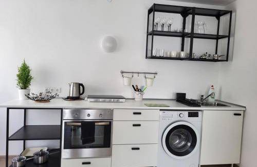 Panevezys county Apartment | 43 m² Apartment ∙ 1 bedroom ∙ 4 guests