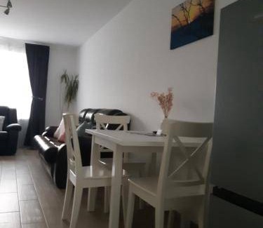 Panevezys county Apartment | 43 m² Apartment ∙ 1 bedroom ∙ 4 guests