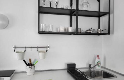 Panevezys county Apartment | 43 m² Apartment ∙ 1 bedroom ∙ 4 guests