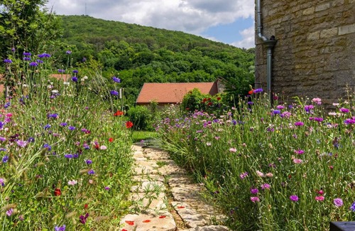 La Bussiere-sur-Ouche Bed & Breakfast | 45 m² Bed and breakfast ∙ 2 bedrooms ∙ 4 guests