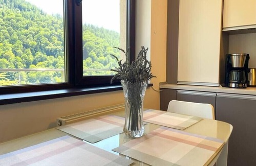 Sinaia Apartment | 4Seasons Panorama Apartment