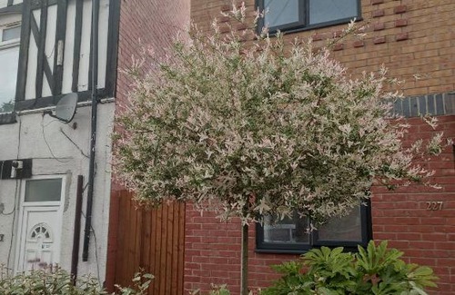 Yardley House | 5 Bedroom Spacious Home