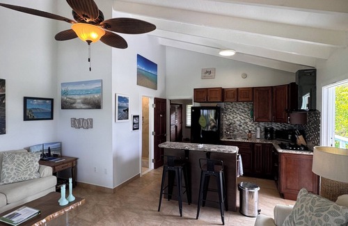 Cane Bay Condo | 5 Nights Left in March 1 BR Oceanfront Condo Sleeps 4! Cane Bay! ST CROIX, USVI