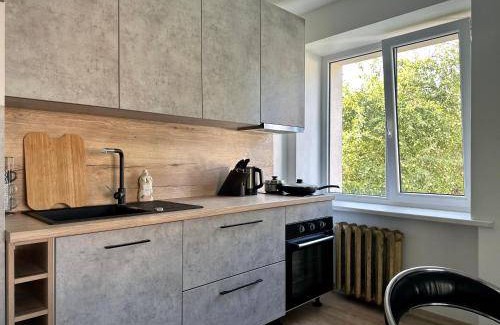 Ciekurkalns Apartment | 50 m² Apartment ∙ 1 bedroom ∙ 4 guests