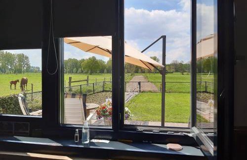 De Bus Bed & Breakfast | 50 m² Bed and breakfast ∙ 4 guests