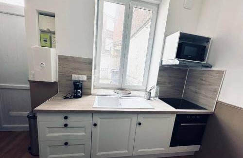 Lille-Moulins Apartment | 51 m² Apartment ∙ 2 bedrooms ∙ 4 guests