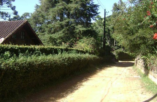 Centro Cabin | 51 m² Lodge ∙ 2 guests