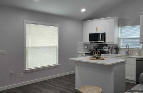 Dunedin House | 519- 2 Bedroom 2 Baths in Dunedin