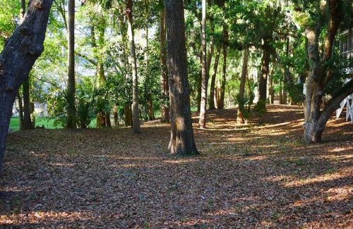 Tarpon Pond House | 523 Tarpon Pond