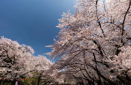 Sugamo Hotel | 56 m² Hotel ∙ 2 bedrooms ∙ 7 guests