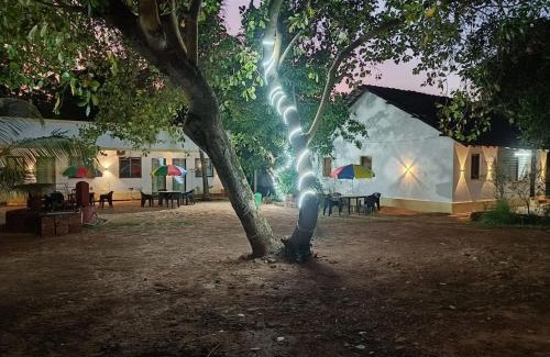 Devbag Hotel | 5th Dimension Retreat - Tarkarli