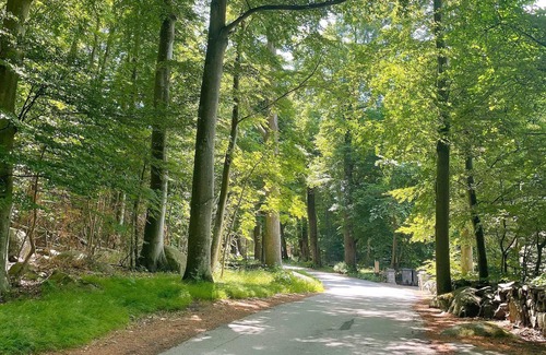Solvesborg House | 6 person holiday home in SÖLVESBORG