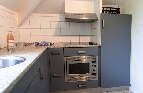 Municipality of Dalfsen House | 6-persoons by Interhome