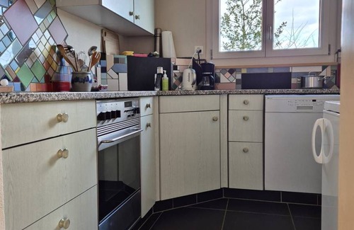 Aeschi bei Spiez Apartment | 60 m² Apartment ∙ 2 bedrooms ∙ 3 guests