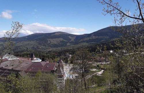 Bierutowice Apartment | 60 m² Apartment ∙ 3 bedrooms ∙ 8 guests