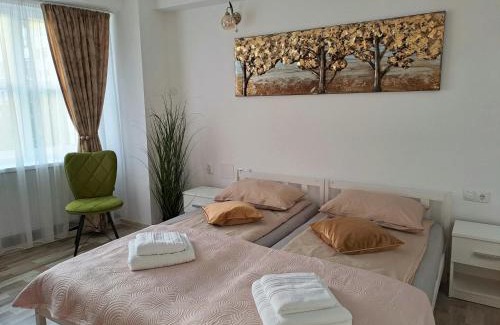 Miercurea-Ciuc Apartment | 7 Levél Central Apartments