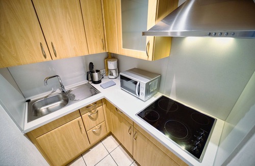 Feldberg Apartment | 742 - Premium | 55 sqm 1,5 room (with Hochschwarzwaldkarte) - Ferienwohnungen am