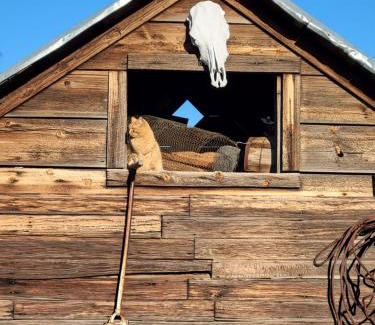 South Cascades Area Bed & Breakfast | 8 Mile Farm Bed & Breakfast