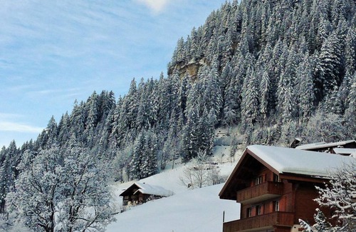 Adelboden Apartment | 80 m² Apartment ∙ 2 bedrooms ∙ 4 guests