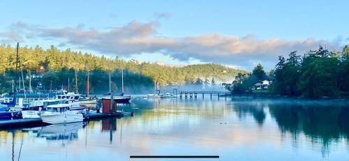 Deer Harbor Bed & Breakfast | 84 m² Bed and breakfast ∙ 3 guests
