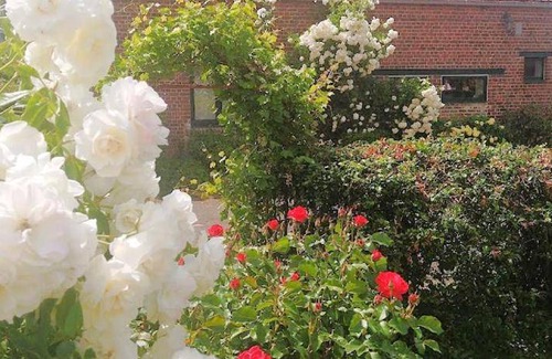 Leuze-en-Hainaut House | 85 m² House ∙ 3 bedrooms ∙ 6 guests