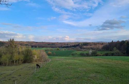 Ober-Ramstadt Apartment | 89 m² Apartment ∙ 2 bedrooms ∙ 4 guests