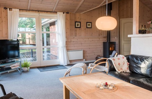 Rindby Strand House | 9 person holiday home in Fanø