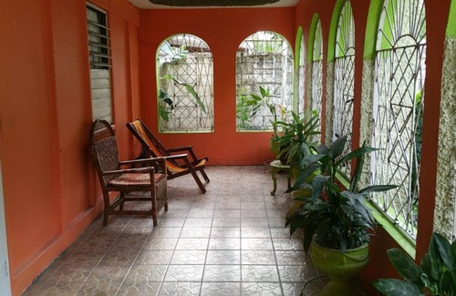 Saint Andrew House | A beautiful house filled with greenery