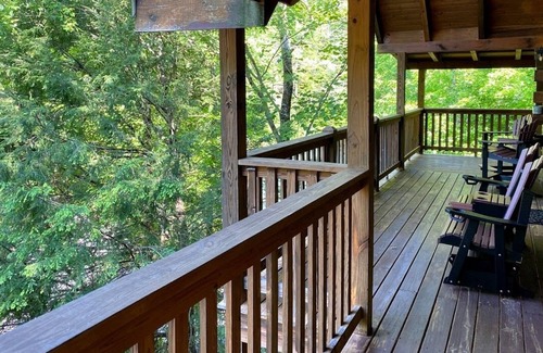 Black Bear Falls Cabin | "A Black Bear's Den" Great family fun!