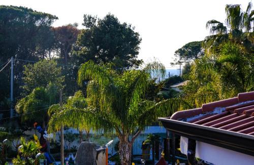 Paestum Bed & Breakfast | a casa di Chiara bed and breakfast