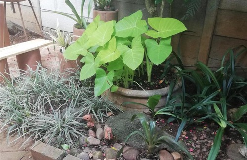 Makhado House | A-Cody Place