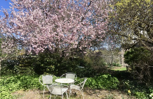 Ballan Cottage | A cottage for couples! Come stay & meet our alpacas 🦙💗