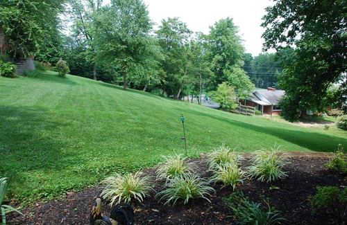 Cloverleaf Cabin | A Cozy Cottage Near the Heart of All Louisville Attractions!