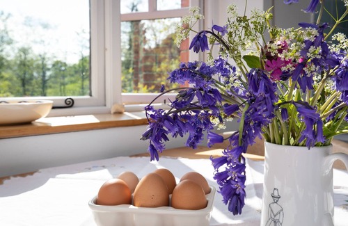 Llanybri Cottage | A fabulous family friendly cottage in a beautiful rural woodland setting