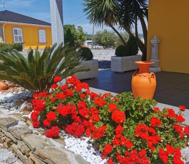 Vila Nova de Foz Coa Hotel | A Flor da Rosa