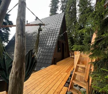 Bakhmaro Ski Chalet | A-Frame Bakhmaro