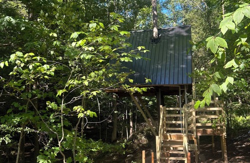 Benezette Cabin | A-Frame Tree House , 2 min fro the Elk center