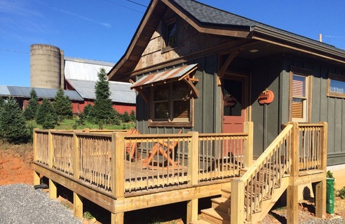 Waynesville Cabin | A hand-crafted cabin built in the middle of a Christmas Tree farm.