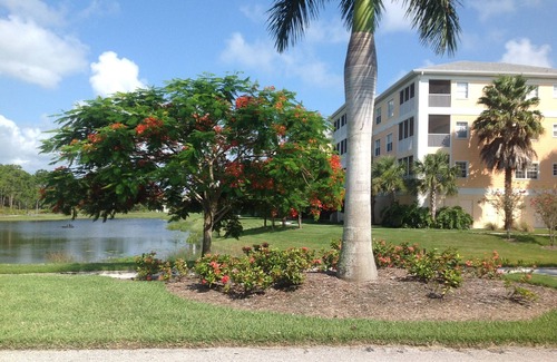 Cape Haze Condo | A Little Slice of Paradise